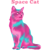 Chat de l’espace