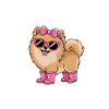 Pomeranian Sprüche Lustiges Pomeranian Geschenk