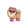 Pomeranian Sprüche Lustiges Pomeranian Geschenk