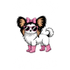 Papillon Sayings Girl Funny Papillon Gift