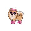 Pomeranian Sayings Funny Pomeranian Gift
