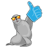 Seal thumbs up