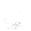 Botanischer Hunger