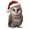 Geheimnisvolle Eule im Weihnachtszauber