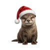 Cute otter ready for feast