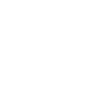 Occupation: Animator