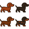 Ensemble d’illustrations de teckel mignon