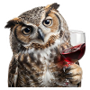 Weise Eule beim gemuetlichen Weinabend
