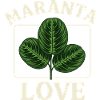 Maranta Love