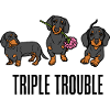 Triple Trouble Funny Dachshund Dogs Trio