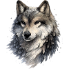 Nebelwolf im Aquarellstil
