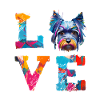 Miniaturschnauzer lieben bunte Farbspritzer