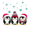 Three penguins with Christmas hats