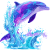 Farbiger Delfin Splash