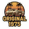 Original 1975 Retro Auto Sunset