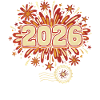 Feuerwerk 2026 an Silvester feiern
