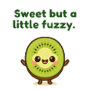 Kawaii Kiwi Fruit Delight