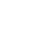 Painter funny noun definition