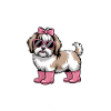 Havanese Sprüche Mädchen Lustige Havanese Geschenk