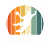 I can't I have handball