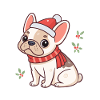 Bulldog Noël et Écharpe Rouge