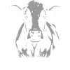 Cow Head Silhouette – Strong Farm Design