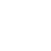 Special Edition