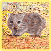 Wombat