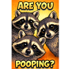 Funny Raccoon Trio Are You Pooping