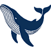 Blue Whale