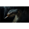 Cobra Snake with Cigarette