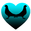 Doves