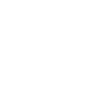 Flocon de neige