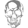 Monochrome Skull Graphic