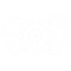 Croisière, croisière, croisieurs