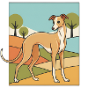 Italian Greyhound