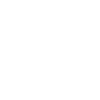 Memento Mori Skull