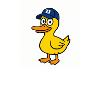 Duck in D Cap