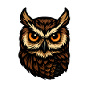 Brown Owl Head Illustration