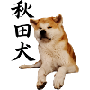 Akita Japan Kanji