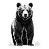 Schwarz-Weiß Bärenillustration