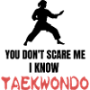 Taekwondo Kampfsportlehrer Trainer