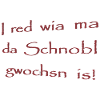 Je viens de la Schnobl Gwochsn !