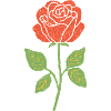 Red Rose Line Illustration