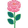 Pink Rose Pop Style