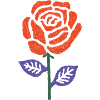 Orange-red rose with purple leaves