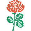 Orange Rose Illustration