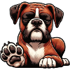 Boxer Boxer Holder Boxer Dog Boxer Owner Boxer Fan