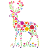 Deer Roe Deer