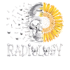 Sunflower vs Skull Radiology